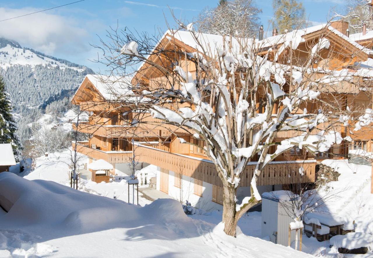 Panoramapark Soleil Chalet C Wengen Luaran gambar